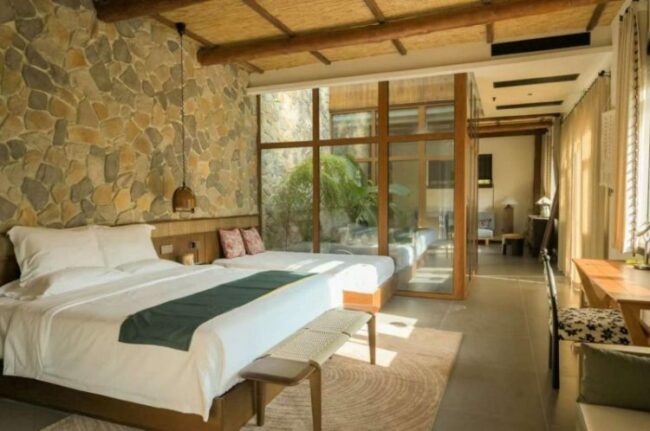 1765774767-8b09d3b6f196ed2