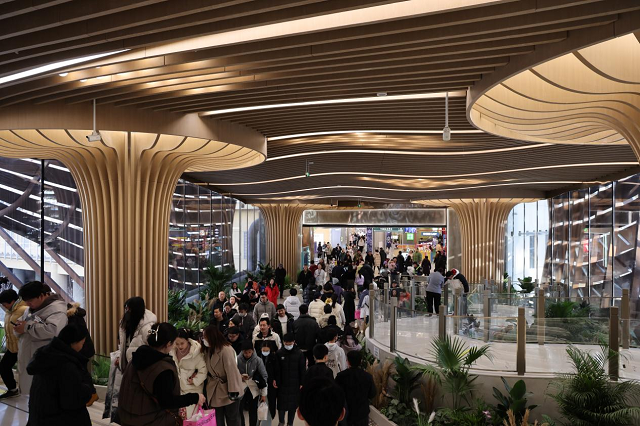 98dd3-1766414327-8fa9c893ede21b6