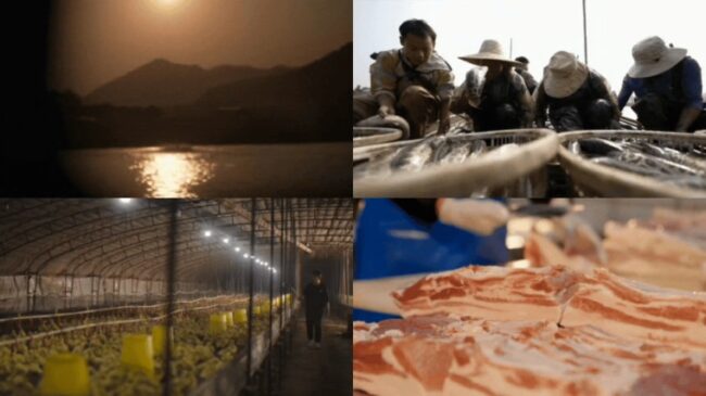 6390426854542273754055820