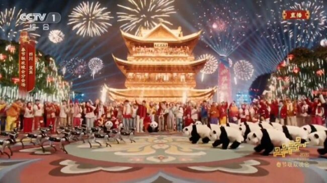 202602162149541098253977