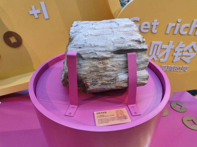 20260219145928987248797