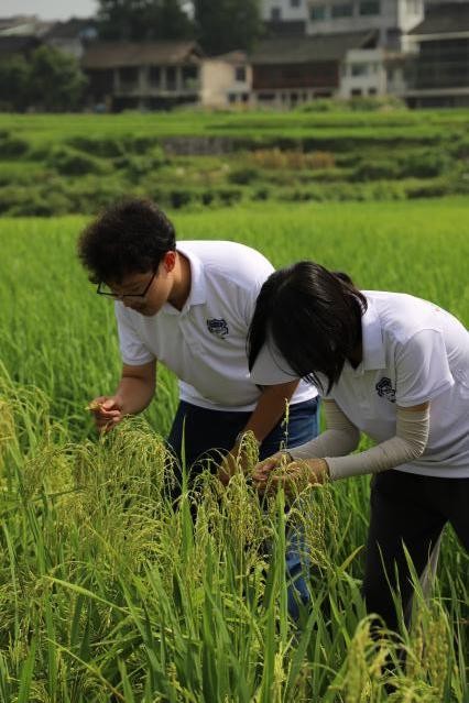 20260310144107358738404