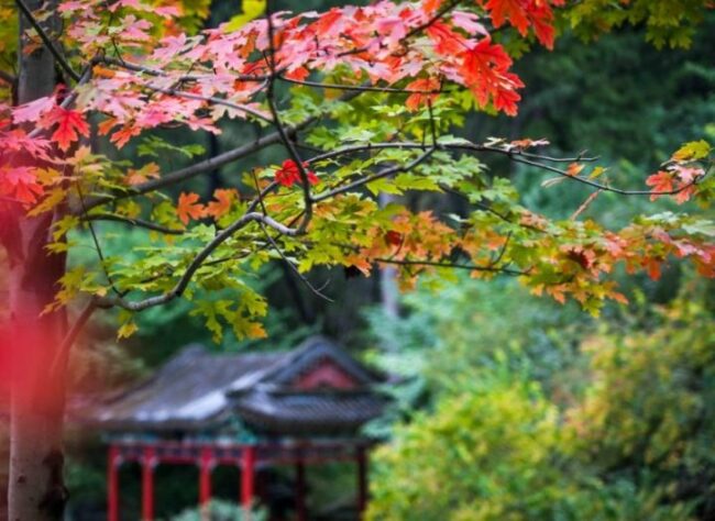 202604151727241872751391