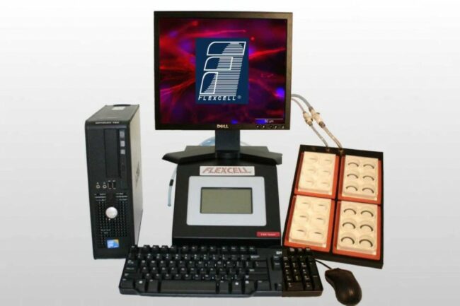 202604301204261099071455